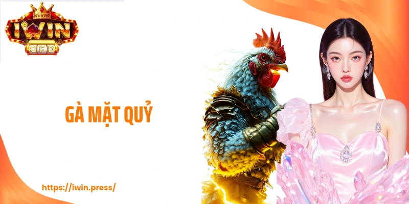 Gà Mặt Quỷ - Dòng Chiến Kê Dị Tướng Được Săn Đón Tại IWIN