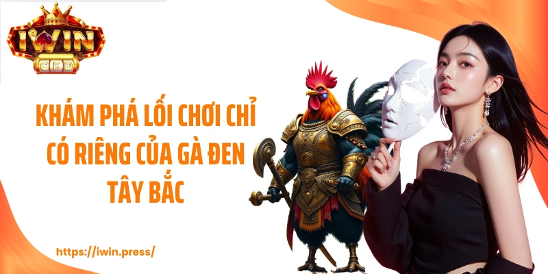 Khám phá lối chơi chỉ có riêng của gà đen Tây Bắc